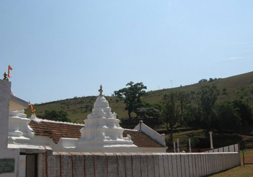 Stag Life Chickmagalore