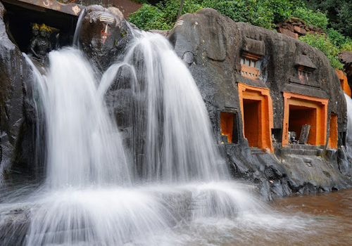 Stag Life Chickmagalore