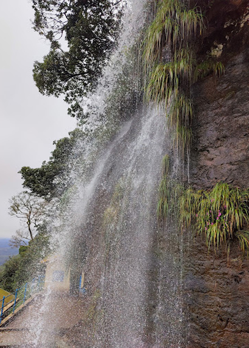 Stag Life Chickmagalore